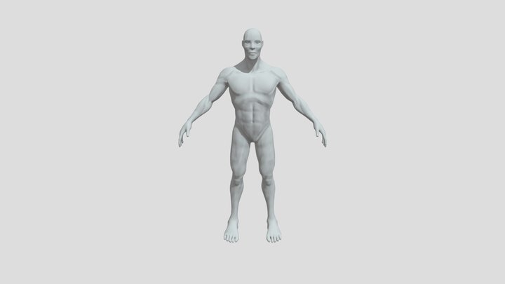 human basemesh 3D Model
