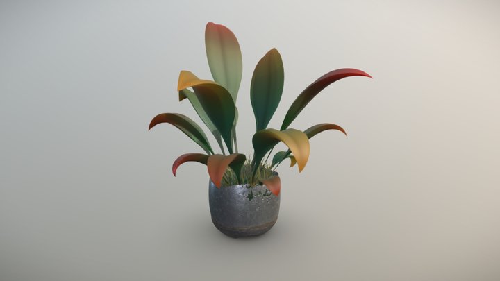 Stylized Pot Plant 3D Model