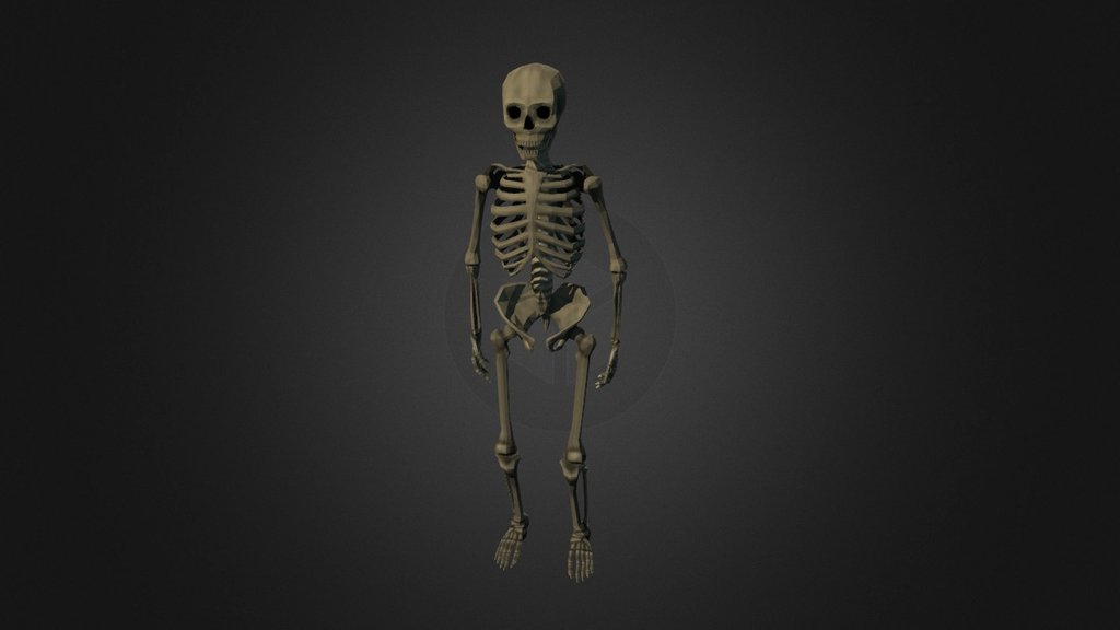 Skeleton