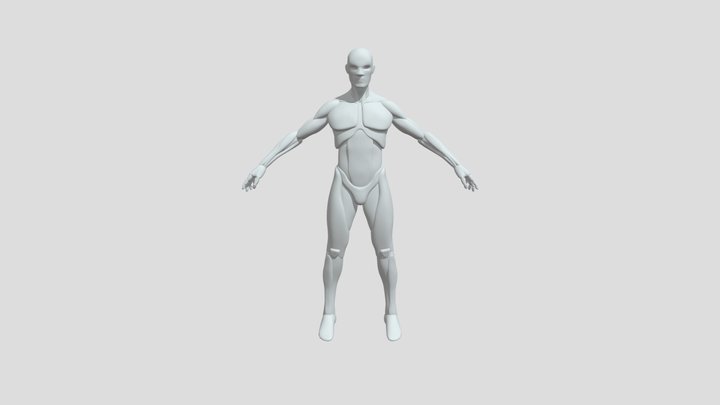 Male Base Mesh 3D Model