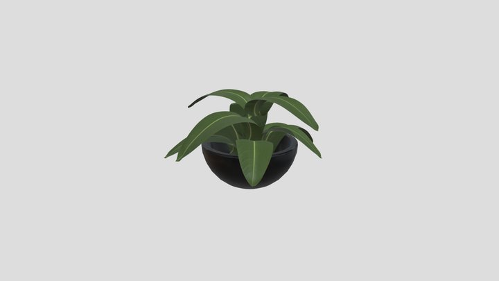 Hojas - Joseph Baccarella 3D Model