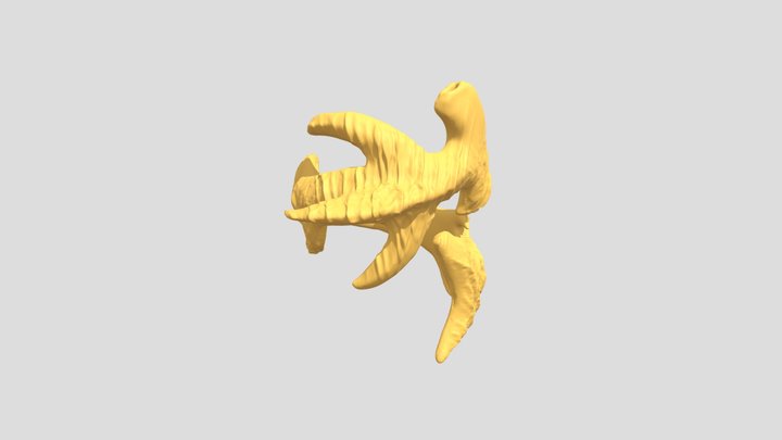 Shark Ring Detalhes 3D Model