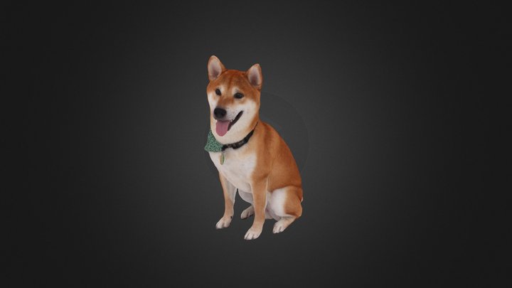 Scanned Shiba Inu Dog 01 3D Model