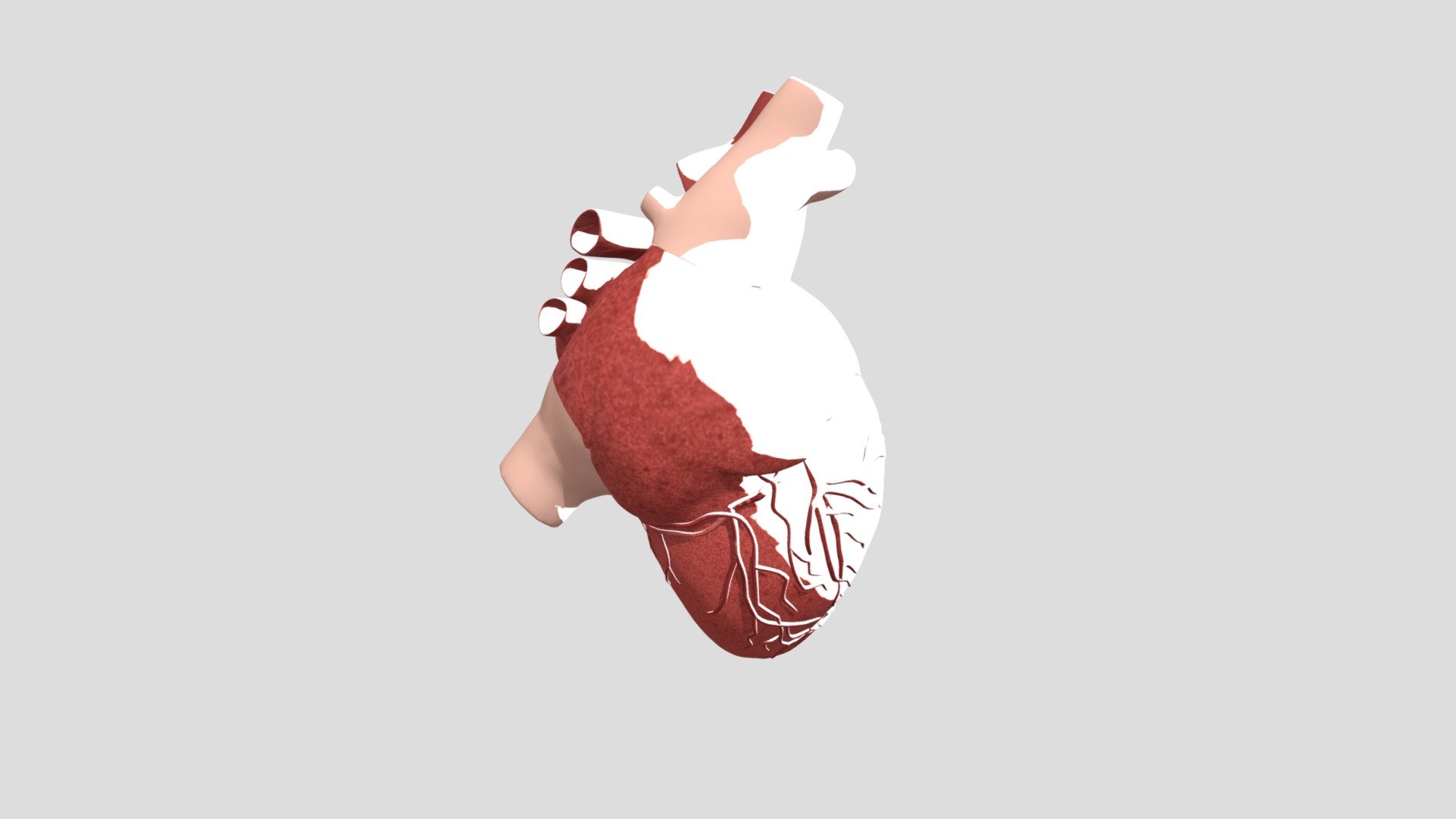 Jaydeep Jena Heartbeat