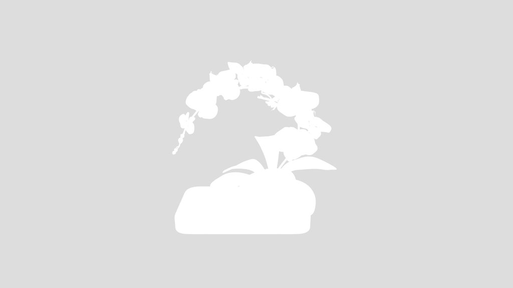 Pink Orchid In White Ceramic Pot