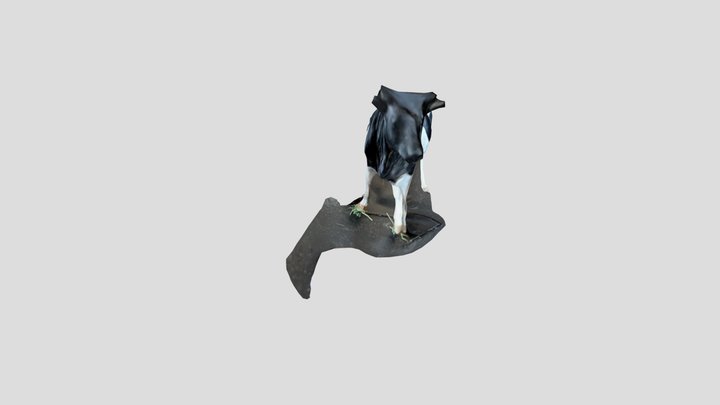 Cow 3D Model
