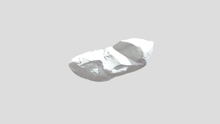 Pombetsu nautiloid fossil (MCM-A2244) 3D Model