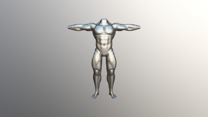 Practice Muscular Man Anatomy Study 3D Model
