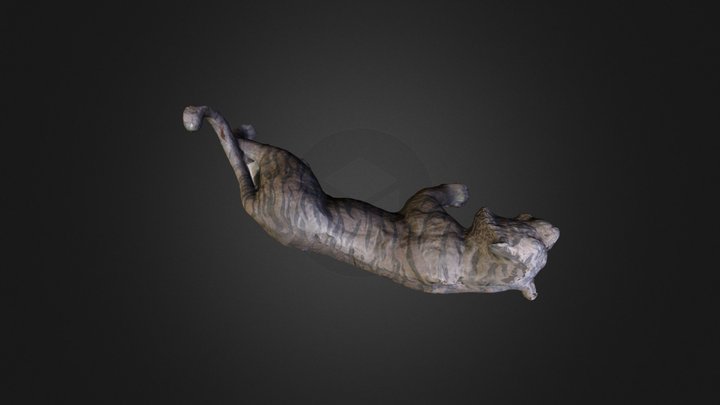 mesh35 3D Model
