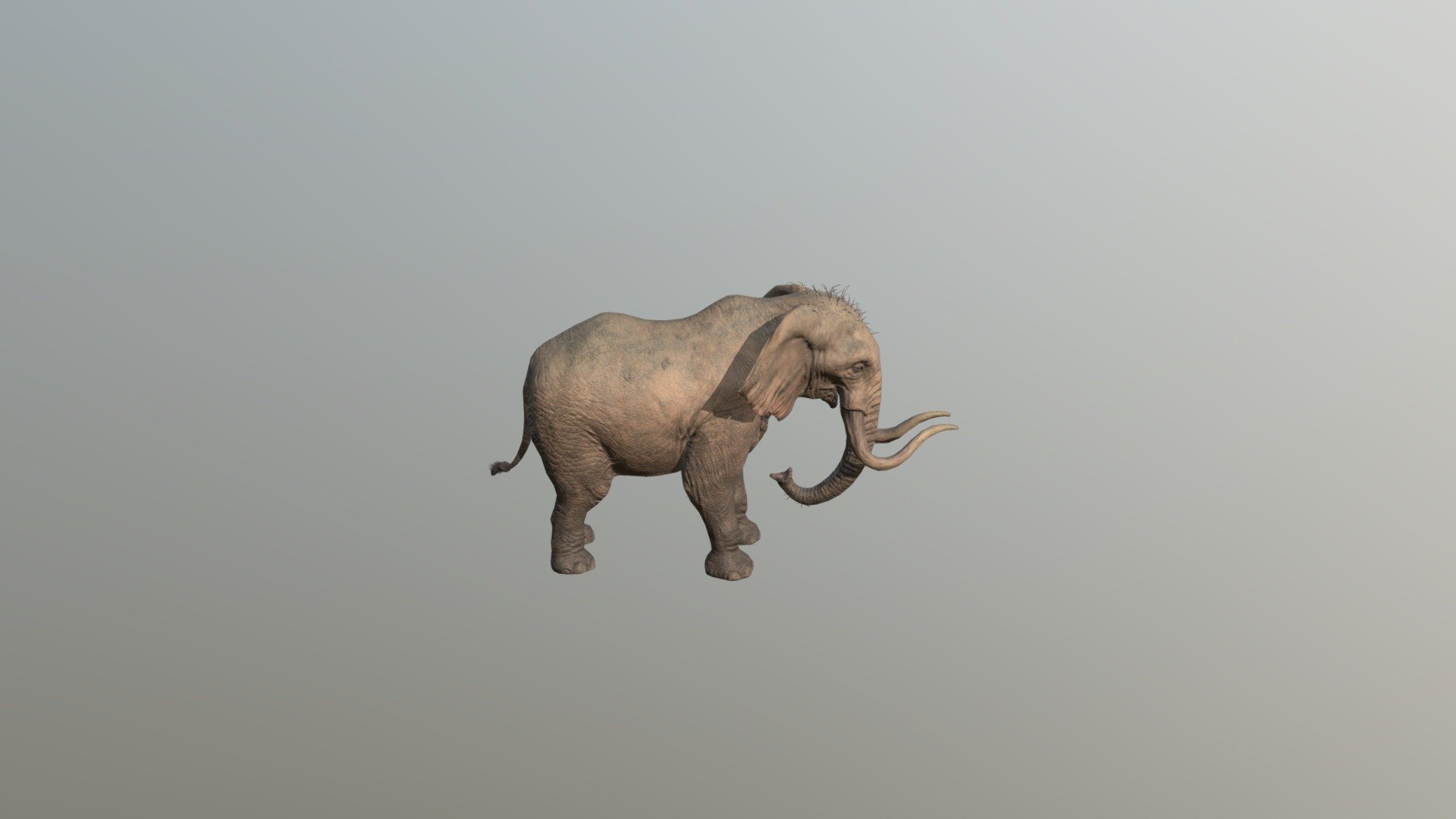 Elefante — Sketchfab embed 3D viewer