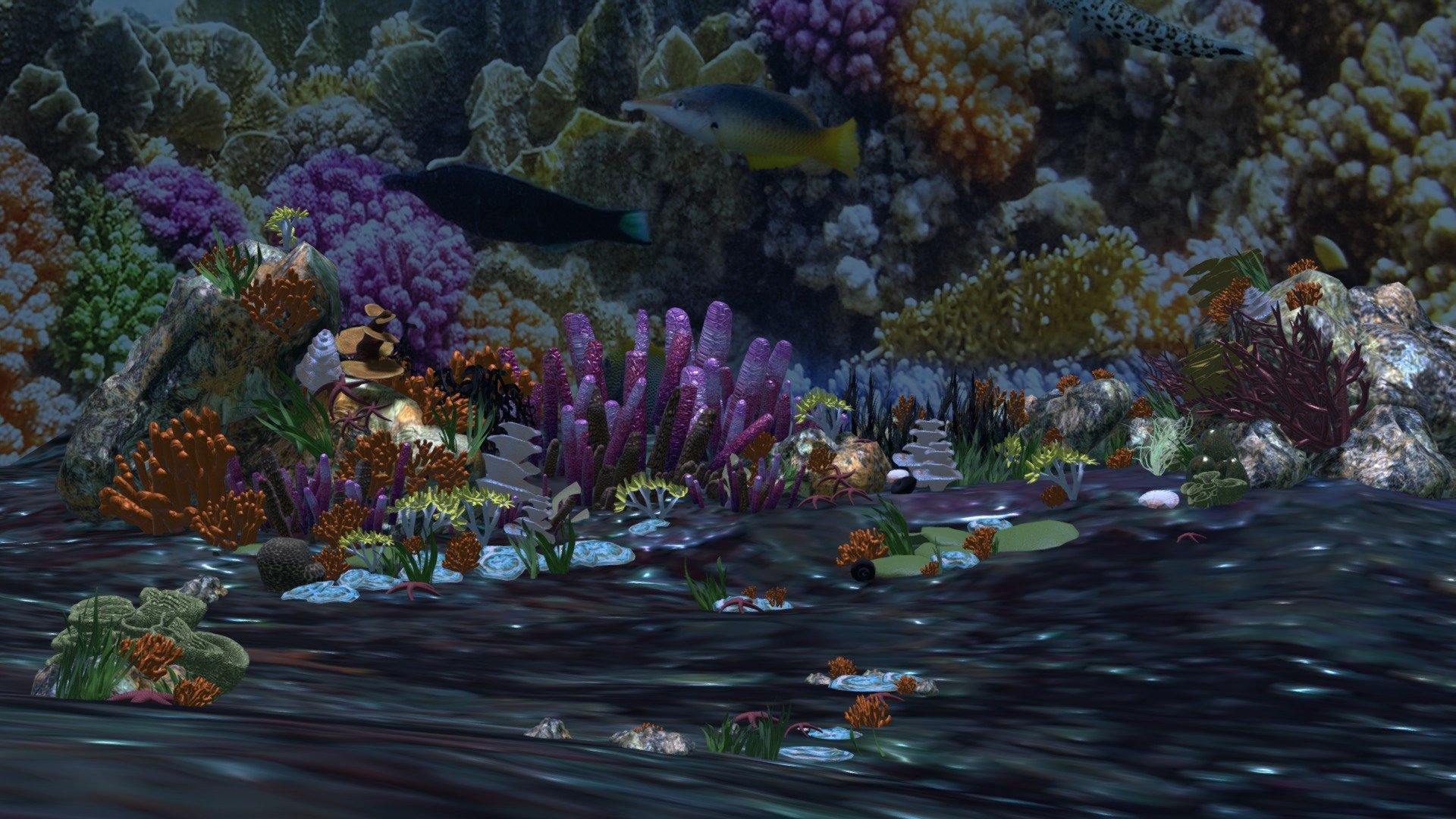 Coral reef small