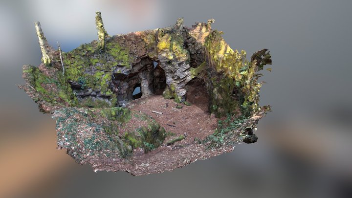 Three Bears Cave Fforest Fawr