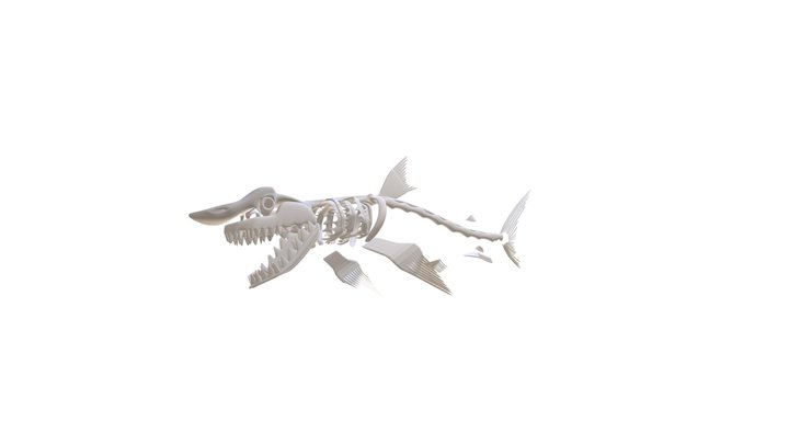 Hiu Skeleton.123 3D Model