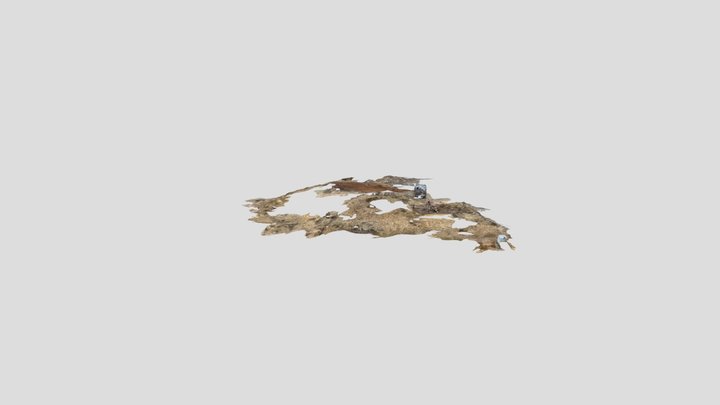 Untitled Scan 3D Model