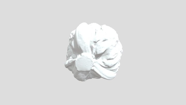 Cauliflower 3D Model