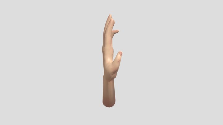 hand 3D Model