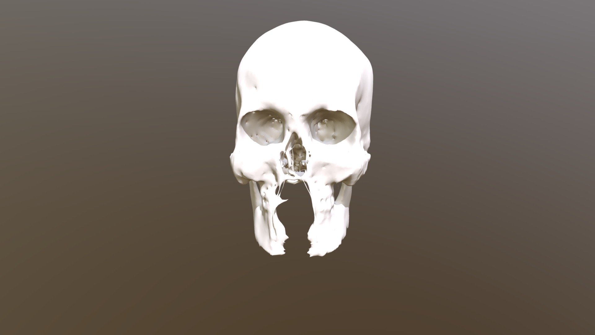 Skull Bone Teste 01