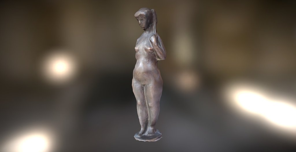 "Taschenvenus"