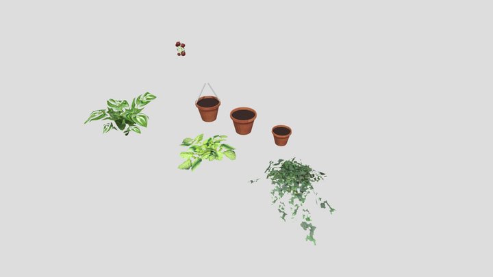 hele mooie plantjes 3D Model