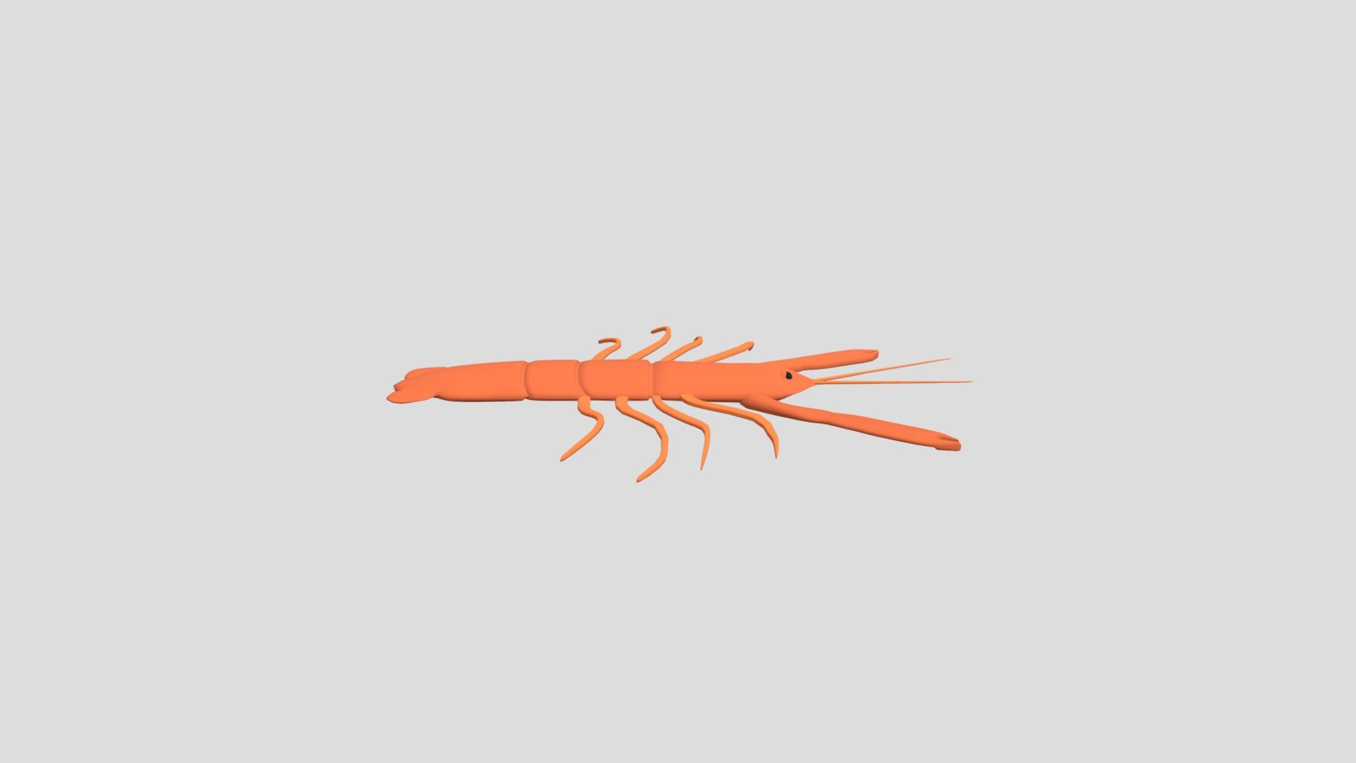 Crayfish from Poly by Google