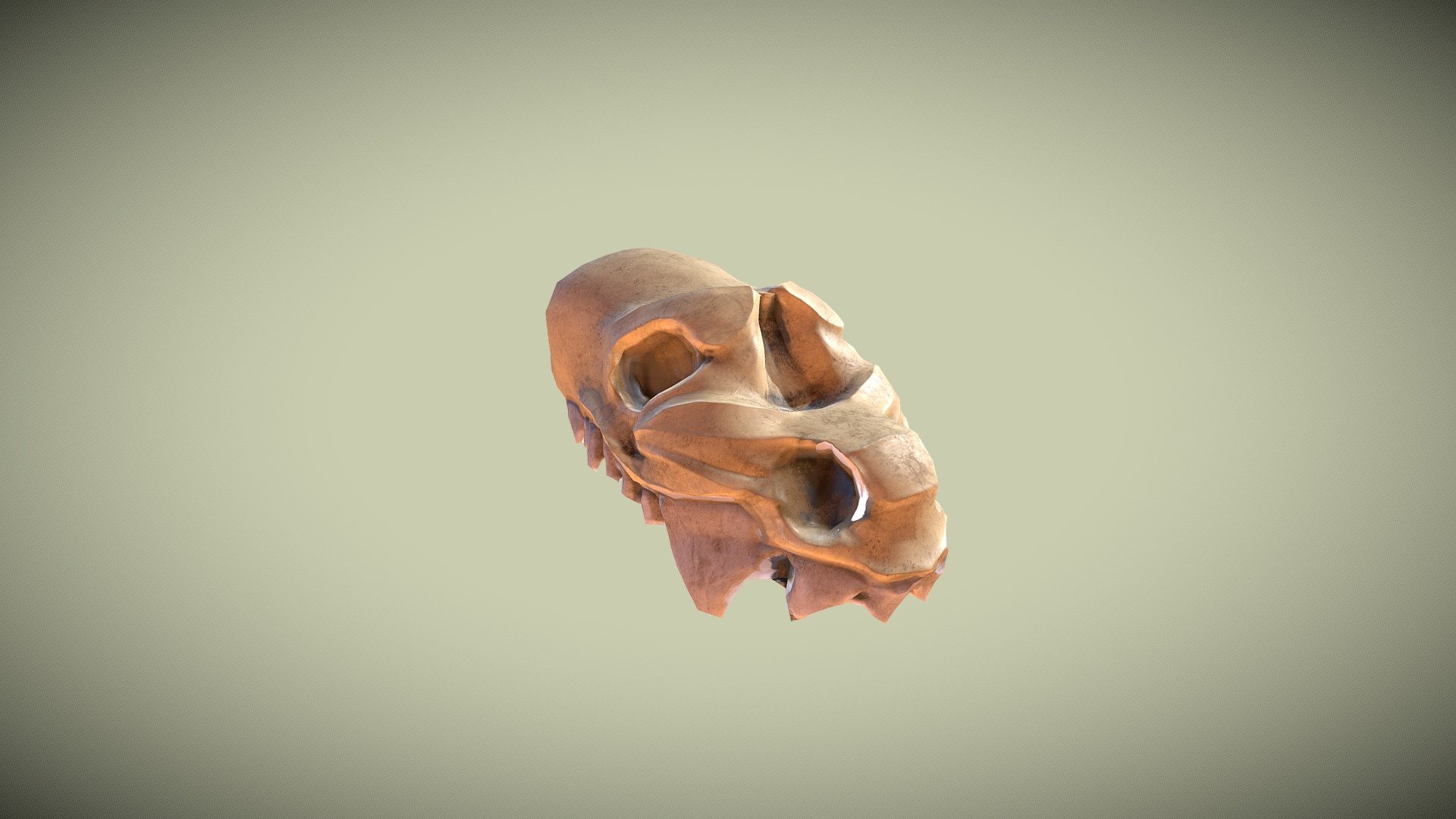 Remise_Skull