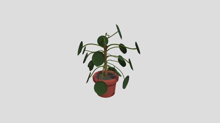 Japanese money plant 3D Model