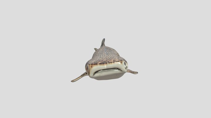 DASDA 3D Model