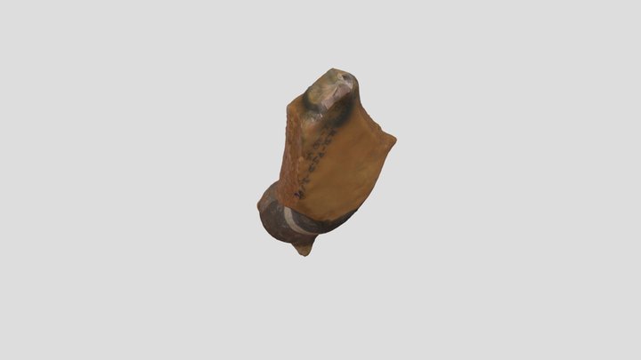 AVE 3D Model