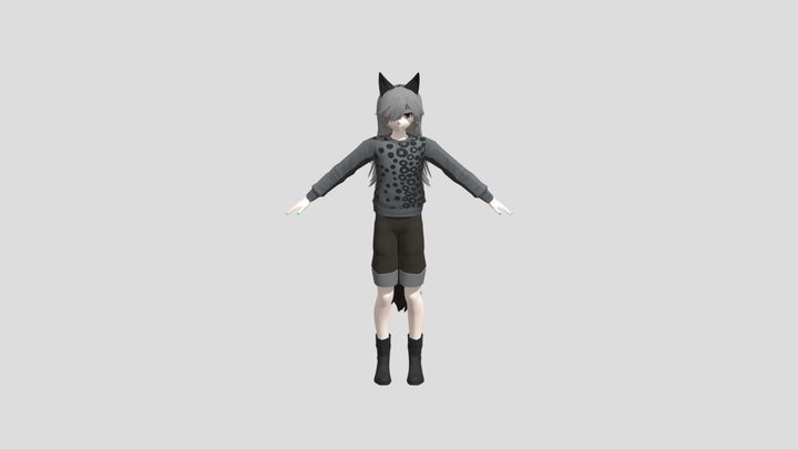 Kaos 3D Model