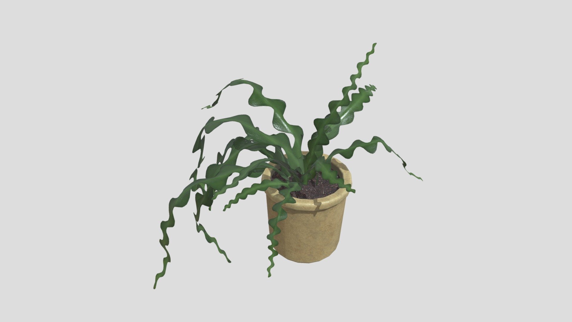 Plant_6 - Buy Royalty Free 3D model by rebuilderai (@RebuilderAI-vrin ...