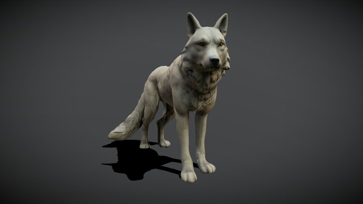 Posed Wolf [MESHY]