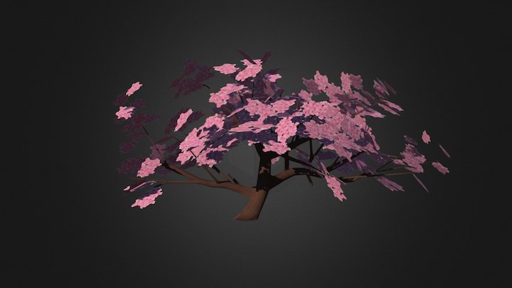 Cherry Blossom 3D Model
