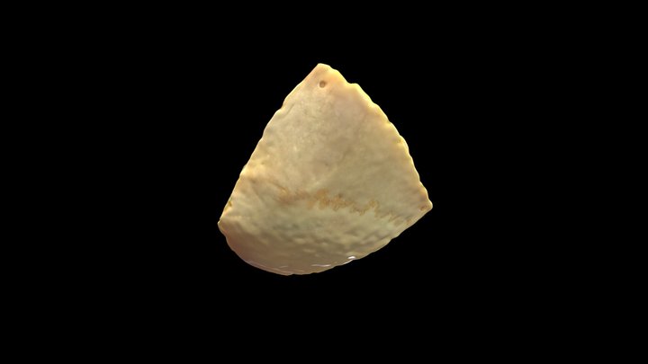 metascan_20241016-1235_H_fronto_lat__64-13_obj 3D Model