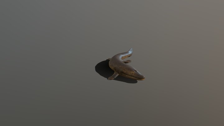 sk_tiktaalik sketchfab 3D Model