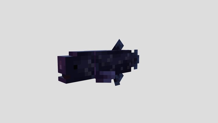 Coelacanth 3D Model