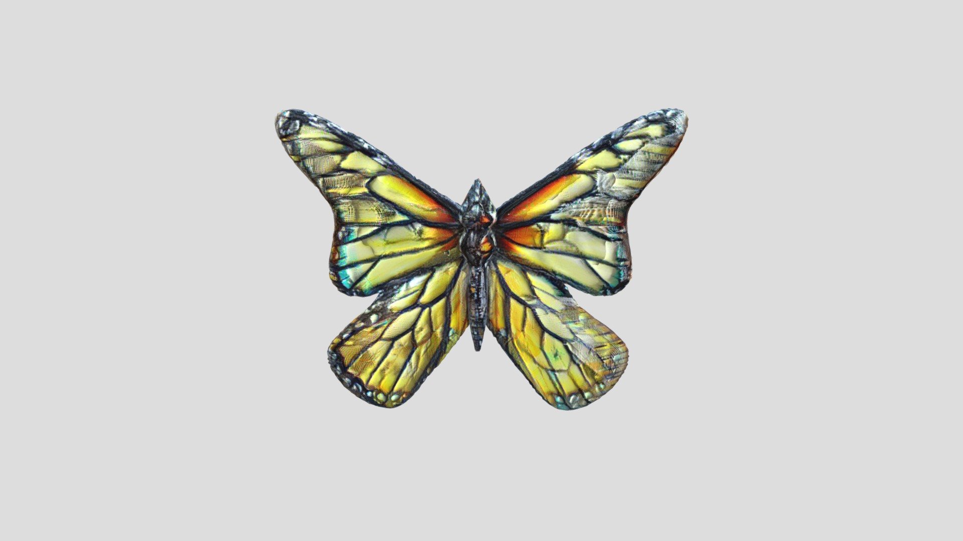 A_ Butterfly_12021947_usdz - 3D model by yahanyy [90db637] - Sketchfab