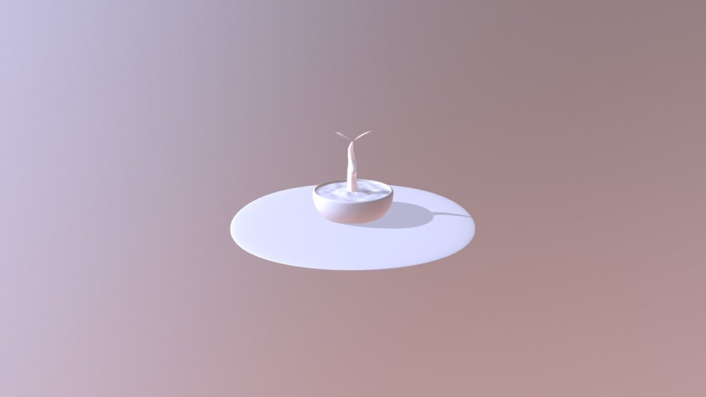 Flower in the pot