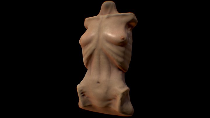 emaciated female torso 3D Model