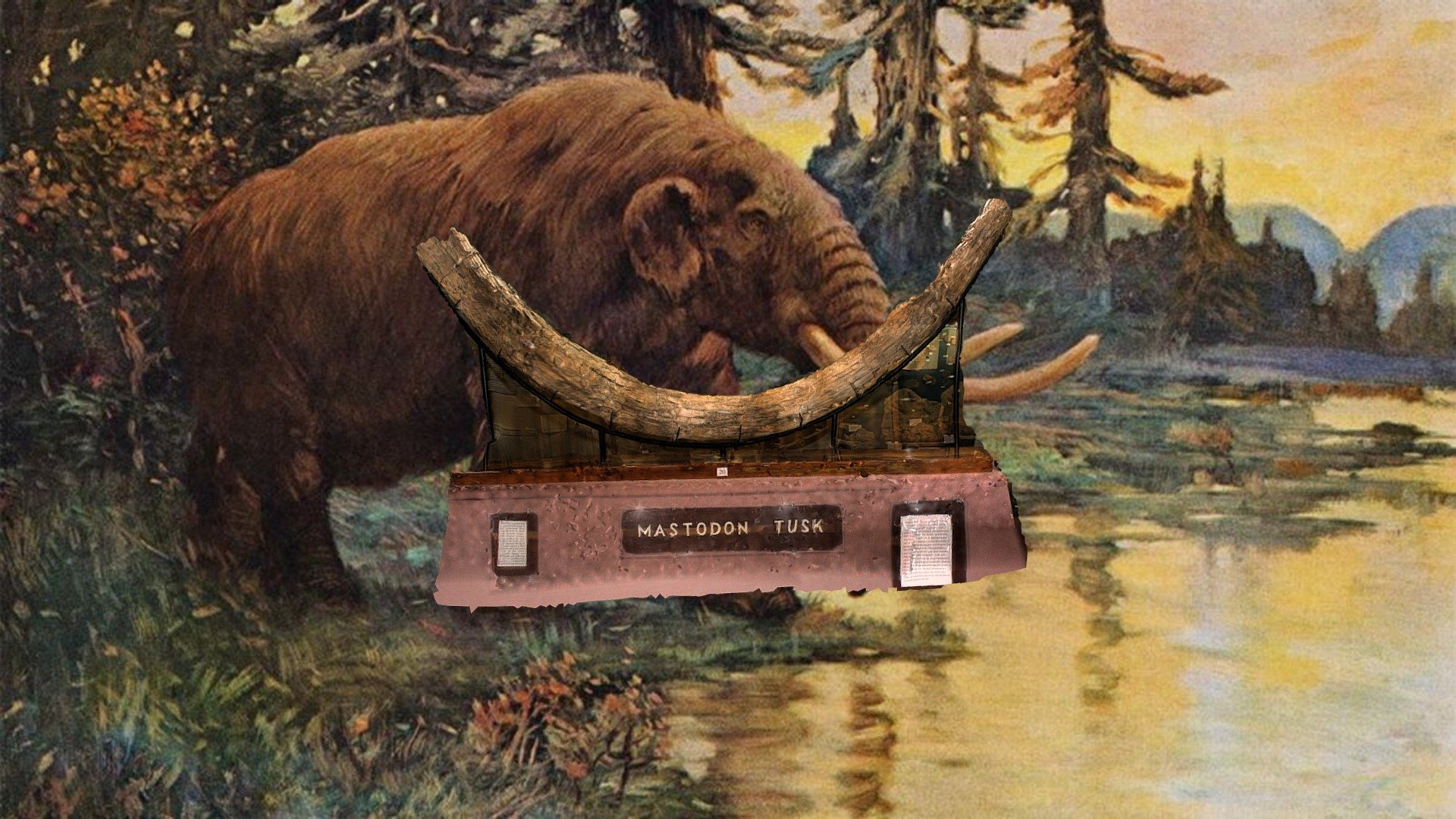 Mastodon Tusk - Download Free 3D model by ESUEarthSci [90e33fd] - Sketchfab