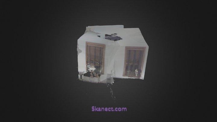 New Skanect Model 3D Model