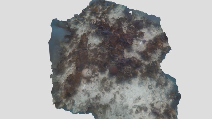 John Pennekamp State Park - Cannon Patch 3D Model