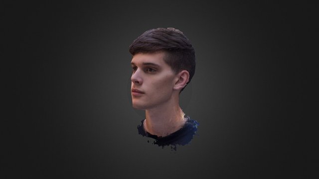 Matt Face 3D Model