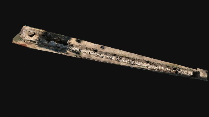 Rasgo AVOII_011_SA 3D Model