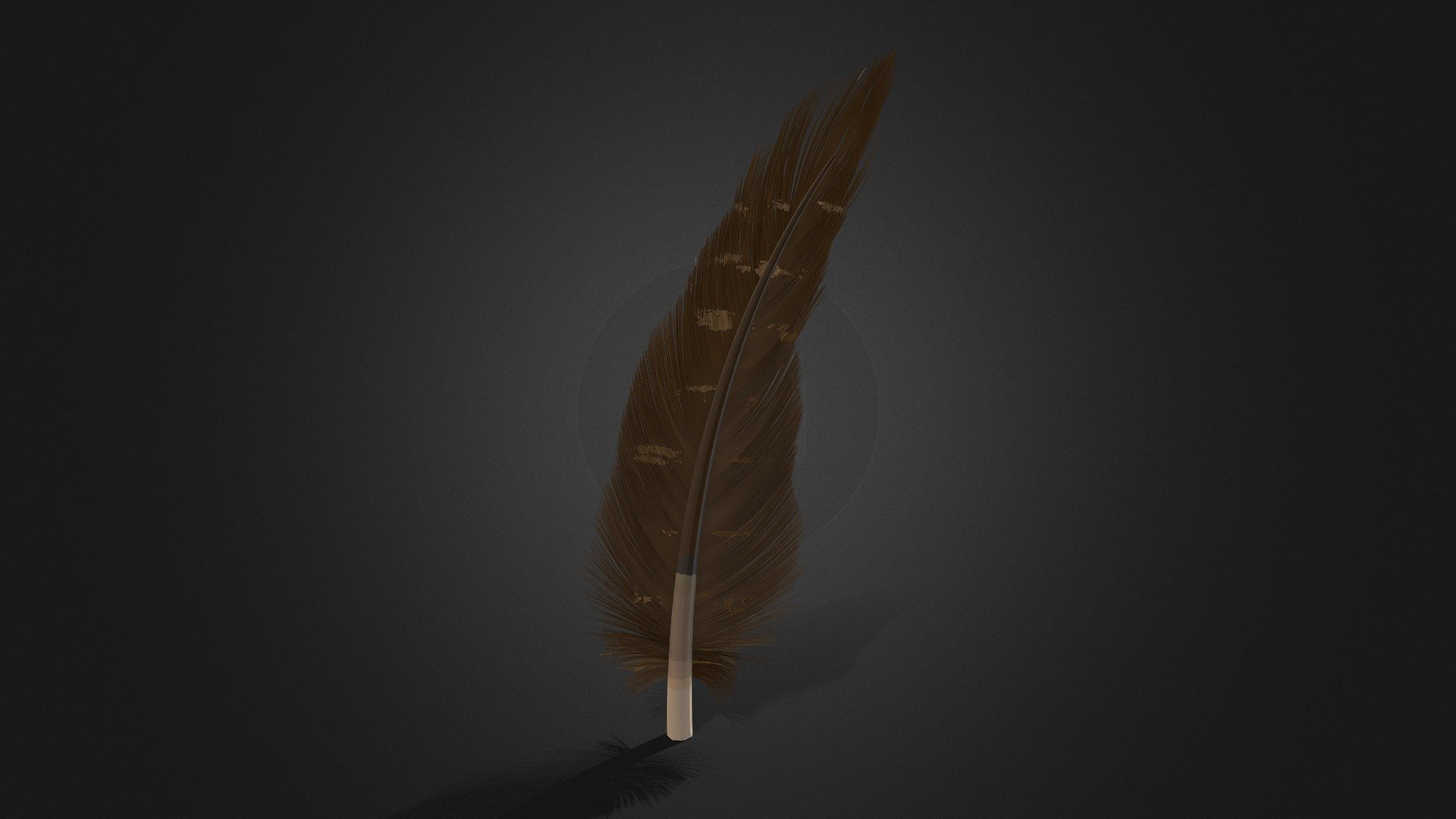 Feather - Download Free 3D model by C (@C44t) [90e9f8a] - Sketchfab