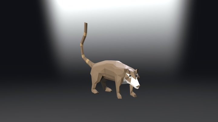 Coatí de nariz blanca/Pizote (Nasua narica) 3D Model