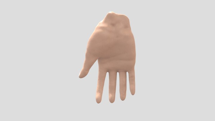 hand 3D Model