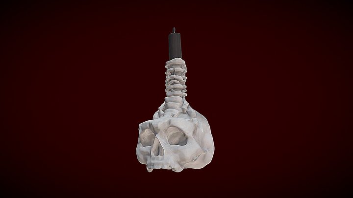 Cranial Candle Fusion | Skull Candlest – Modelo 3D gratuito STL