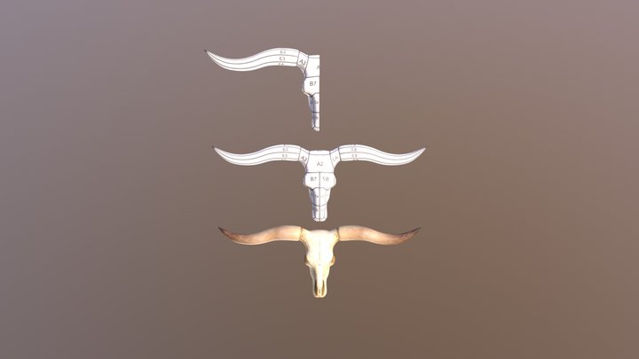 longhorn 3D Model