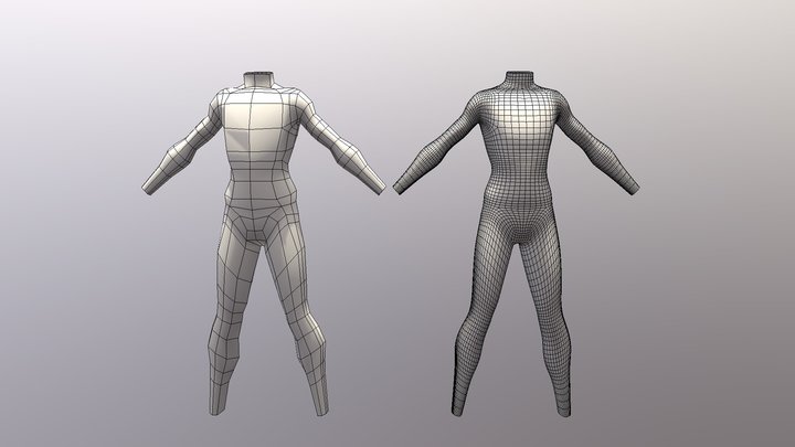 Body topology & line flow exercise 3D Model