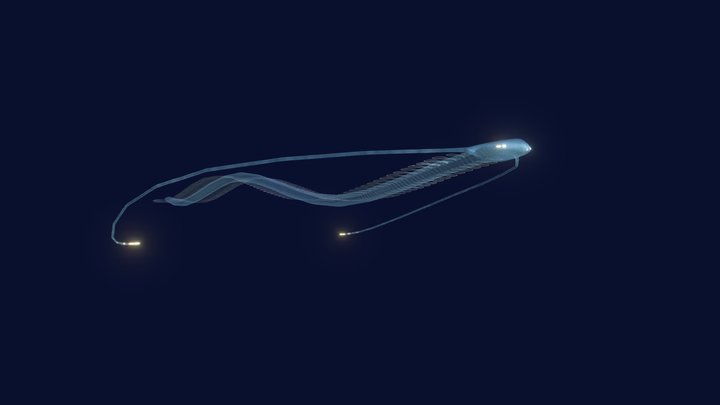 Subnautica Fan Model - Pyrambassis 3D Model